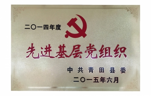 资质声誉-麻将胡了2,电子式电能,智能电能表,智能开关,智能