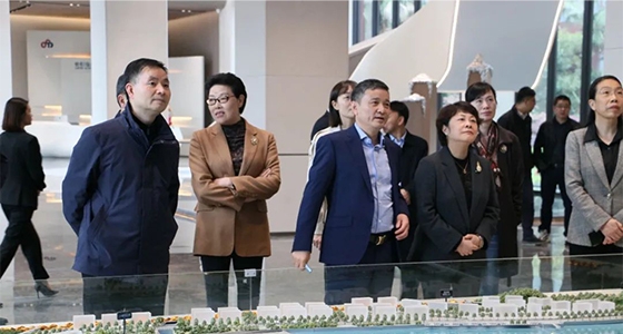 民革中央副主席吴晶调研麻将胡了2集团