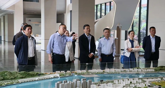 省人大常委会委员陈根芳调研麻将胡了2集团