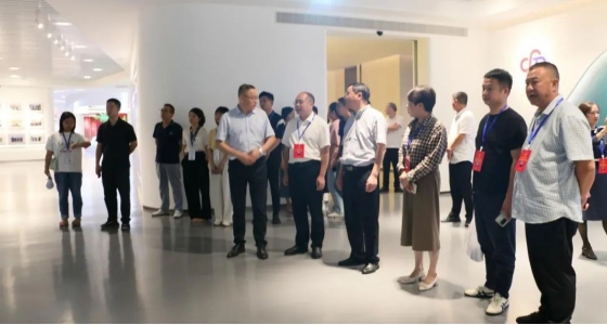 丽水市第五届人大代表景宁中心组调研麻将胡了2集团