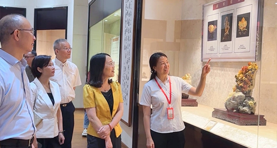 探索东方风范，，麻将胡了2·倪东方艺术博物馆与时代脉搏共振