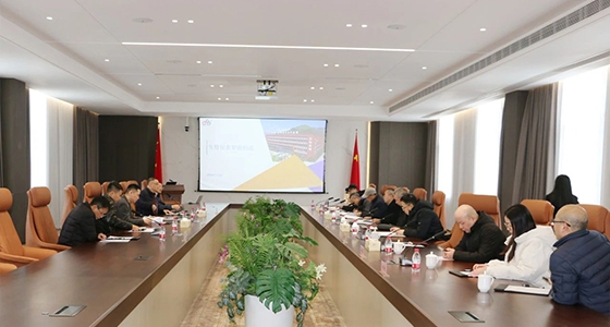 省级两化融合国家综合性树模区验收组专家调研麻将胡了2集团